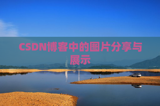 CSDN博客中的图片分享与展示